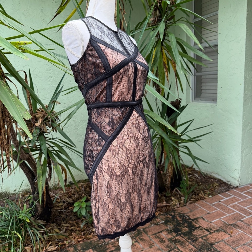 Black Lace and Nude Beige Dress